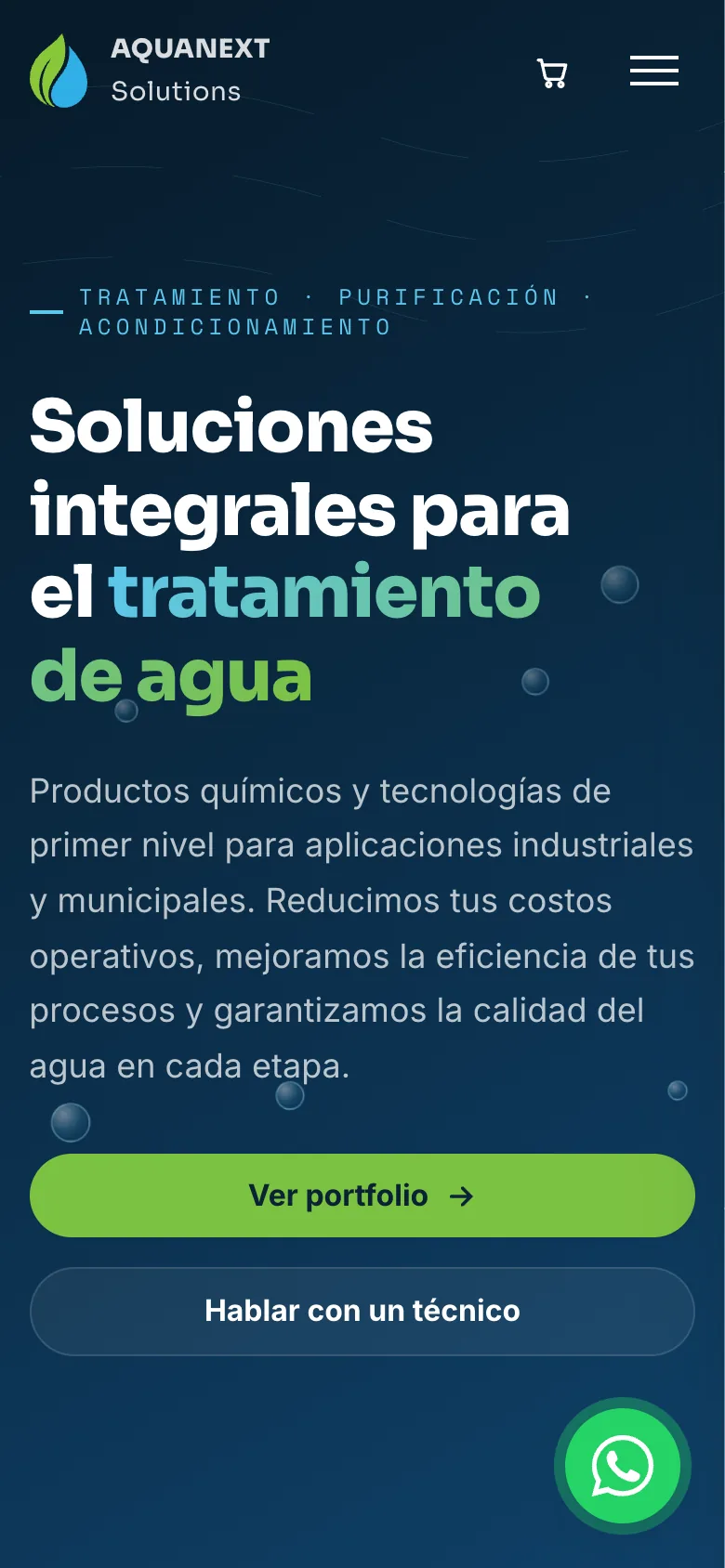 primera pantalla del sitio de aquanext solutions en celular